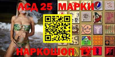 спиды Гатчина