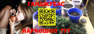 спиды Гатчина