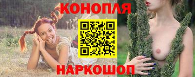 спиды Гатчина