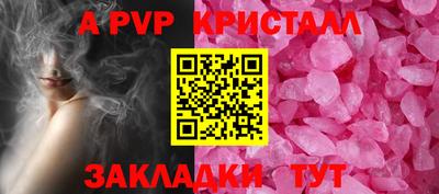 спиды Гатчина