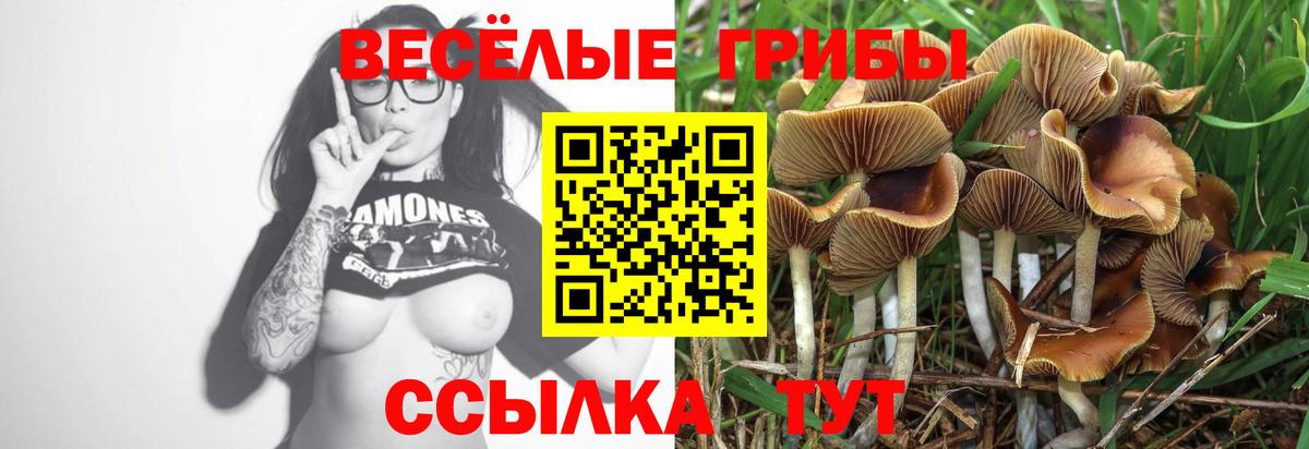 Галлюциногенные грибы прущие грибы  Вход с VPN  Ростов Великий 
