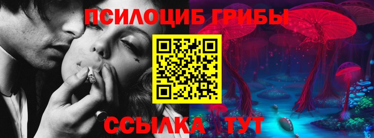 Галлюциногенные грибы прущие грибы Ростов Великий